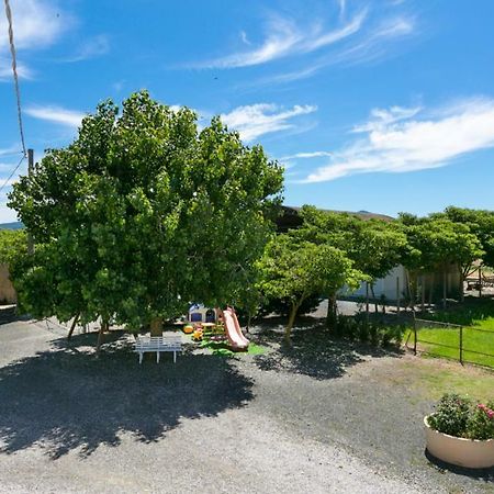Agriturismo Case Nuove Castellina Marittima Kültér fotó