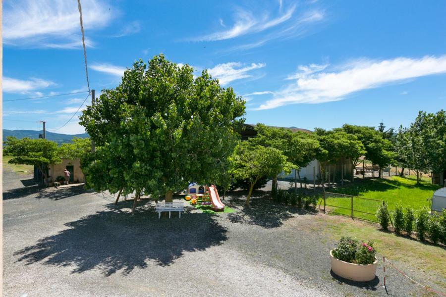 Agriturismo Case Nuove Castellina Marittima Kültér fotó