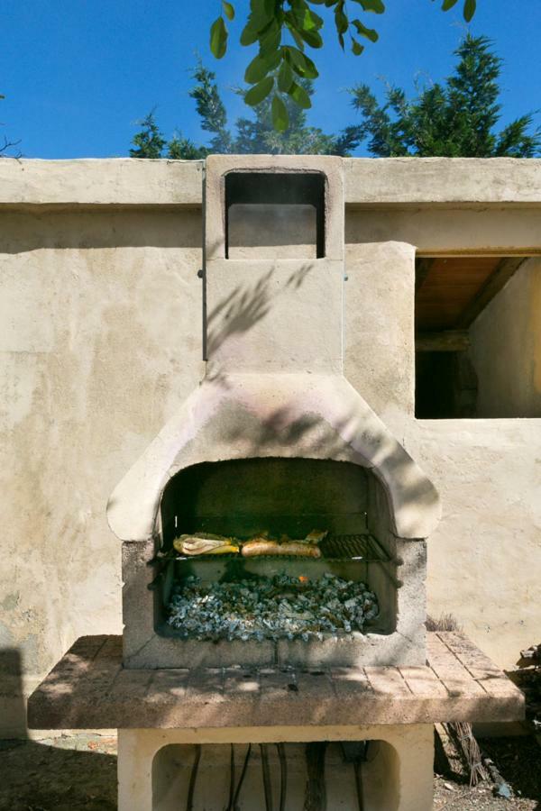 Agriturismo Case Nuove Castellina Marittima Kültér fotó