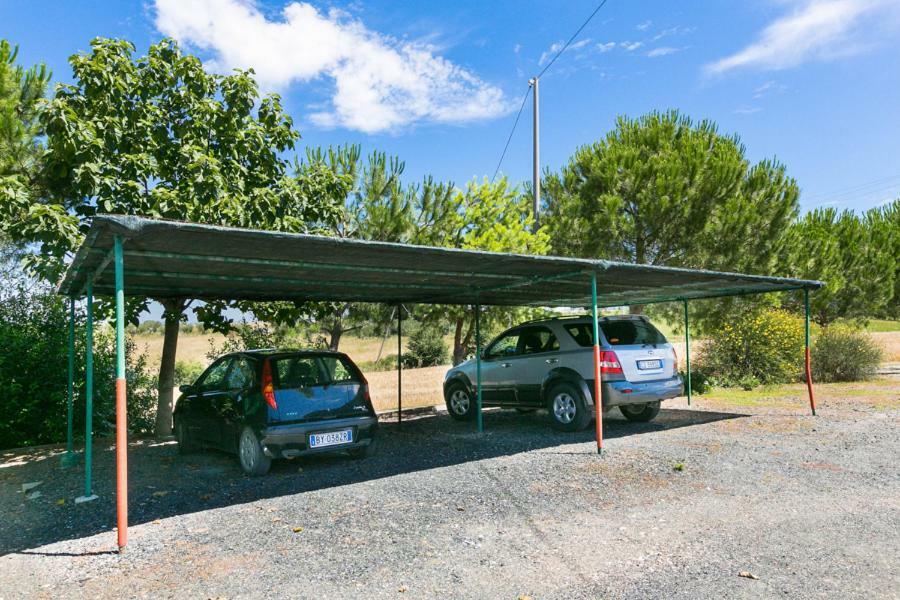 Agriturismo Case Nuove Castellina Marittima Kültér fotó